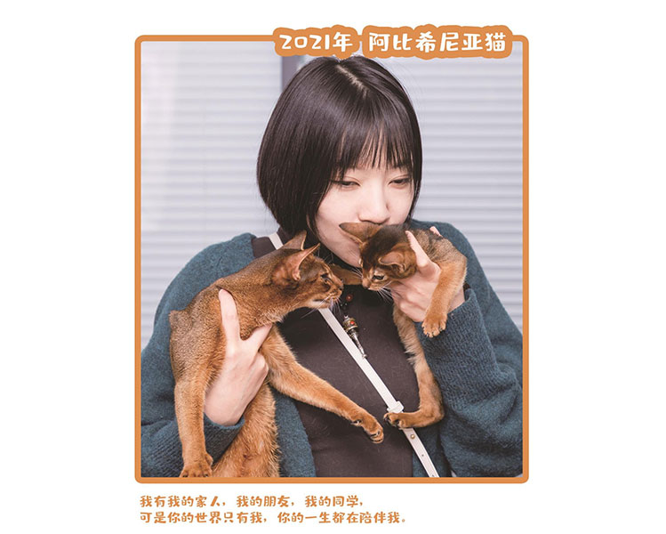 2021阿比西尼亚猫