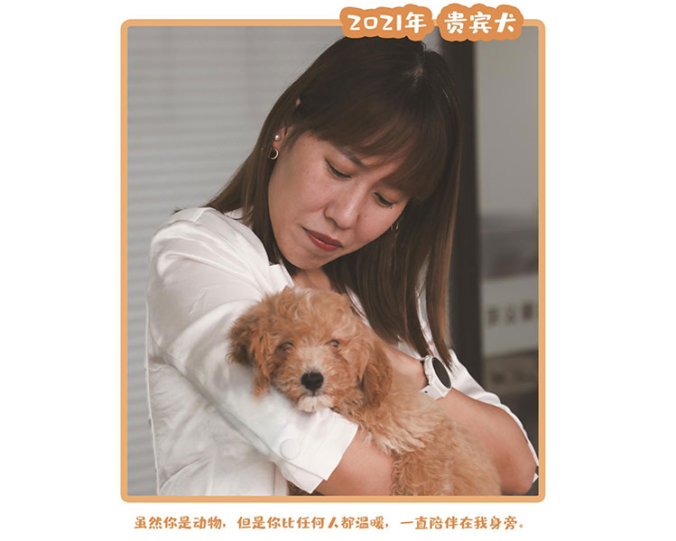 2021贵宾犬