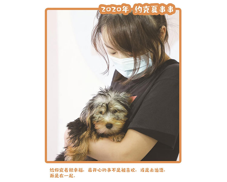 2020约克夏串串