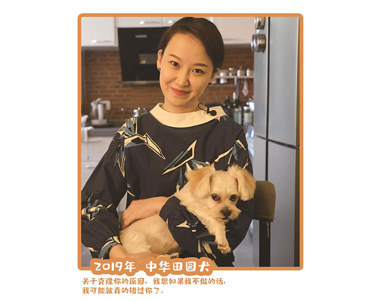 2019中华田园犬